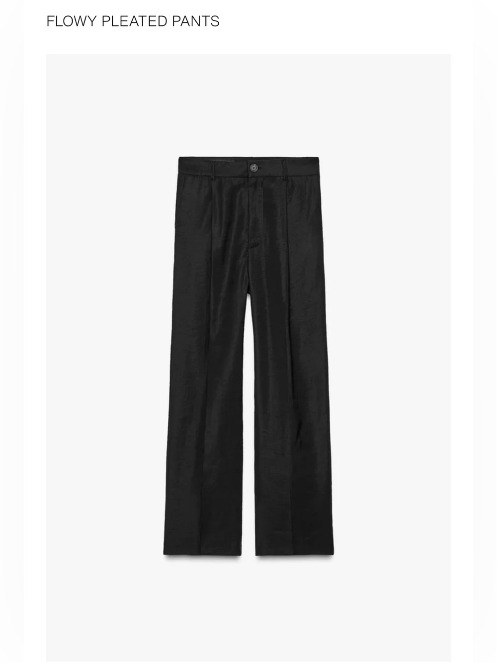 Zara Flowy Pleated Pant